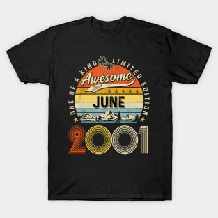 Awesome Since June 2001 Vintage 22nd Birthday T-Shirt